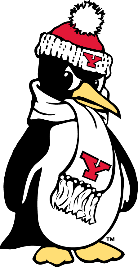 Youngstown State Penguins 1993-Pres Alternate Logo v7 DIY iron on transfer (heat transfer)